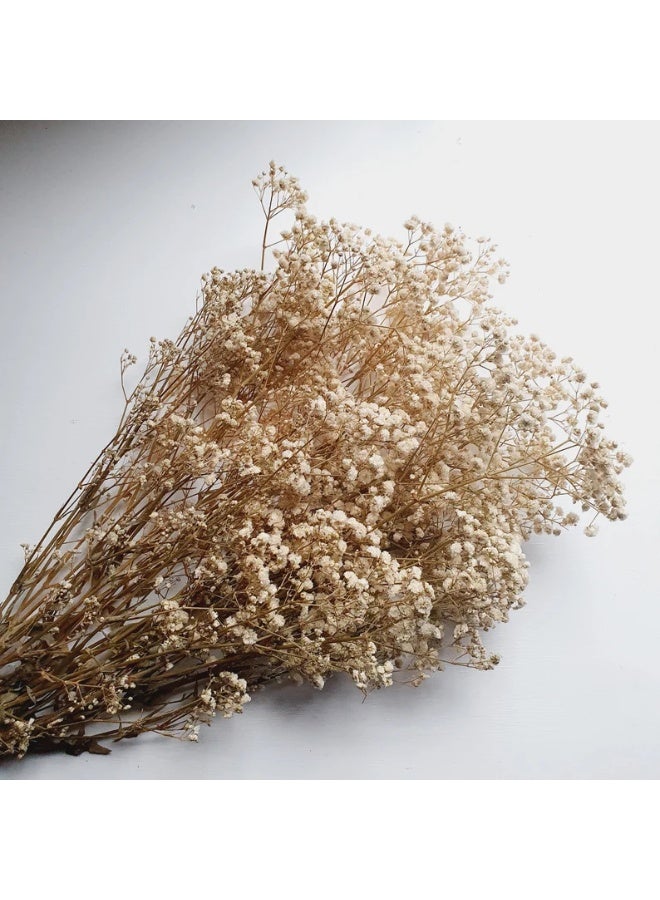 Dried Baby Flowers - Image 2