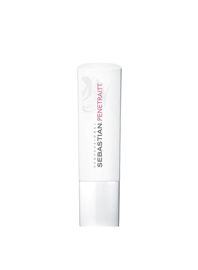 Sebastian Penetraitt Repairing Conditioner 250ml - Image 1