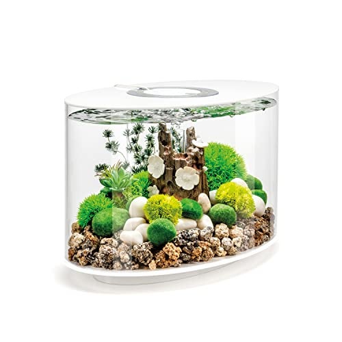 biOrb Loop 15 Acrylic 4Gallon Aquarium with White LED Lights Modern Compact Tank for Tabletop or Desktop Display WhiteTrimmed Tank - Image 1