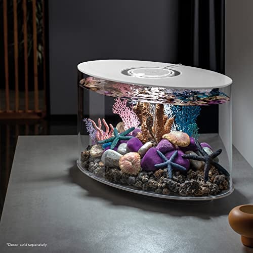 biOrb Loop 15 Acrylic 4Gallon Aquarium with White LED Lights Modern Compact Tank for Tabletop or Desktop Display WhiteTrimmed Tank - Image 3