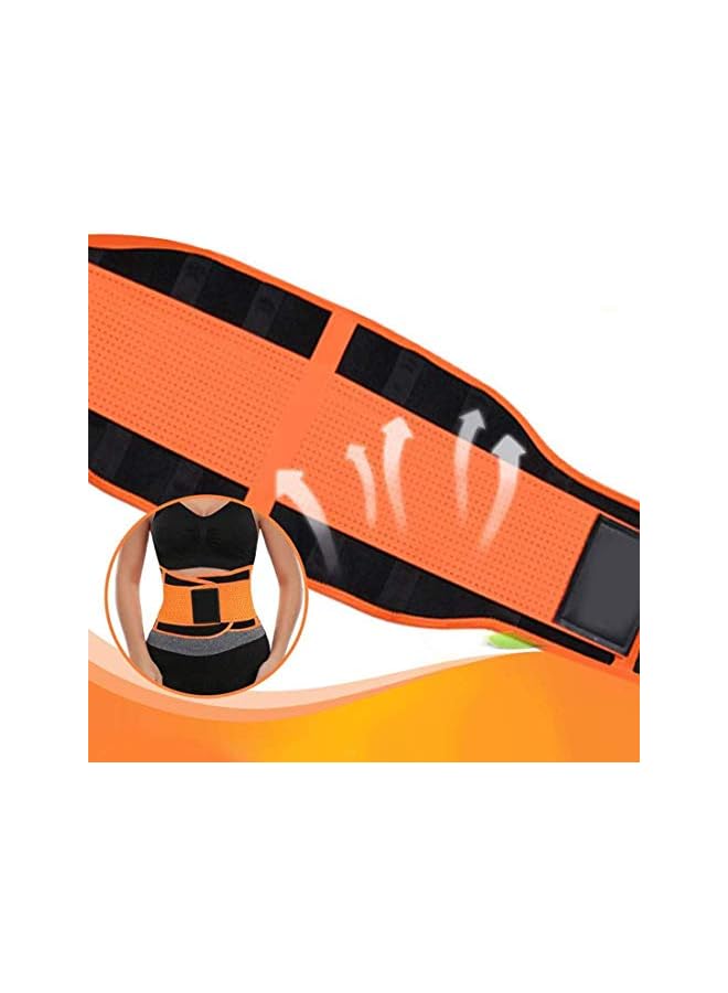 PROMASS Waist Trimmer, Women's Trainer Belt, Slimmer Belt, Sport Girdle Belt, Women Waist Trainer Belt Hourglass Body Shaper Slimming Workout Cincher Weight Loss - Image 2