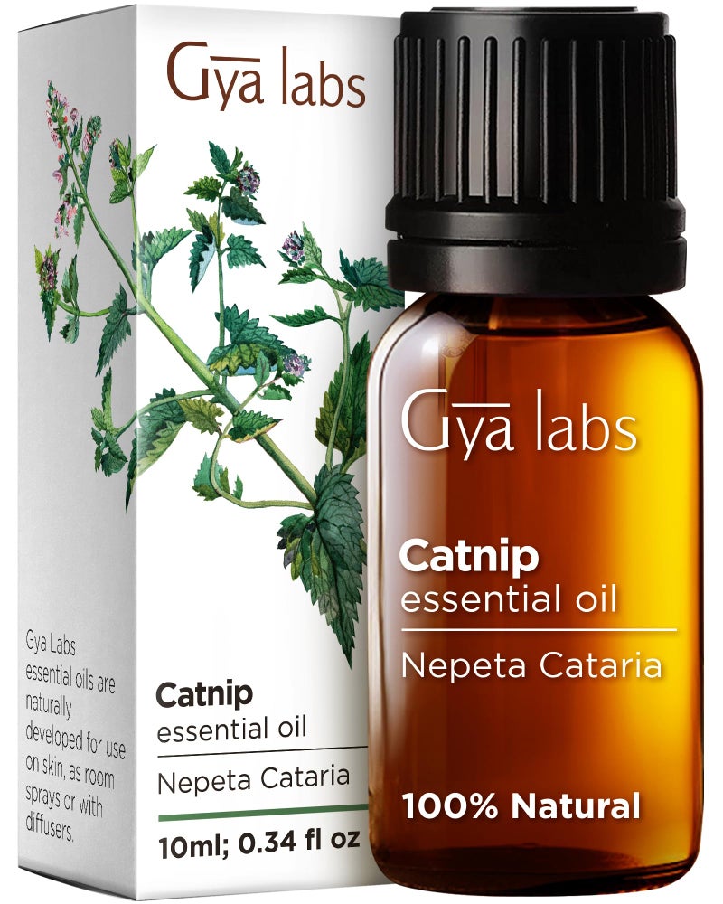 Gya Labs Catnip Essential Oil - 0.34 Fl Oz - for Hair, Skin, Diffuser, Aromatherapy & DIY Candle Making Scent - Image 1
