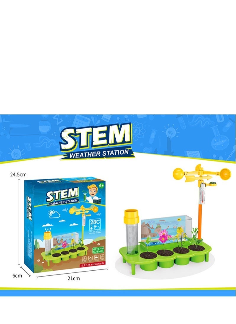 STEM Plant Ecological Weather Station Games,Science and Physics home chemical lab Educational Game for kids and It is an educational game that helps focus, creativity,Children's DIY 6+ Years - Image 3