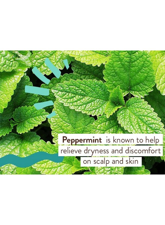 بابو بوتانيكالز بلسم علاج الأوكالبتوس من بابو بوتانيكالز - منشط بخلاصة الأوكالبتوس وإكليل الجبل والنعناع - لجميع الأعمار - بلسم متوازن لجميع أنواع الشعر - نباتي - Image 3