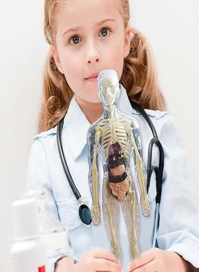 MVM Enterprise Human Body Model for Kids Puzzle 3D Human Body Parts Puzzle DIY Stem Educational Science Project Model for Kids Best Birthday Gift Clear Human Body Structure Model - Image 4
