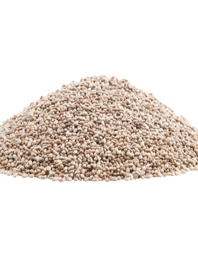 Gerbs Raw White Chia Seeds 2 lbs. | Small-Batch Packed in Resealable Bag, No Artificial Additives | Mildly Nutty Flavor, Ideal for Yogurt, Oatmeal & Baking | Top 14 Allergen-Free - Image 1