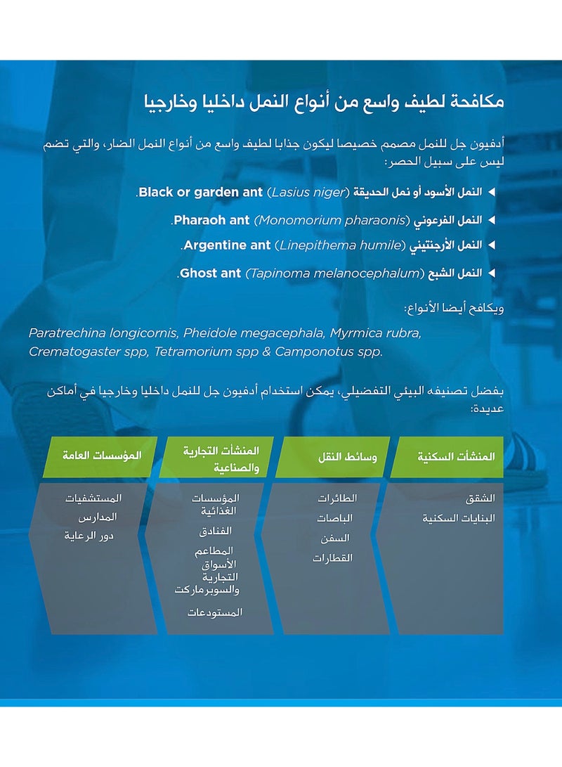 أدفيون جل النمل الامريكي الأصلي ادفيون إبرة واحدة (صنع في أمريكا) - Image 4