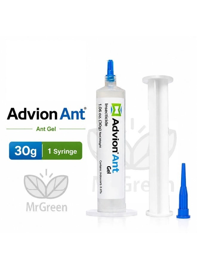 Advion Ant Original Ant Gel – 1 Syringe 30g – Made in USA - Image 1