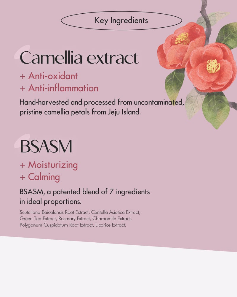 SanDaWha SKINCURE Camellia Flower Cream Mask - Korean Skincare Antioxidant, Petal-Infused Wash-Off Facial Mask, Anti-Aging & Hydrating Treatment for Dry and Rough Skin, 2.3 fl. oz. - Image 4