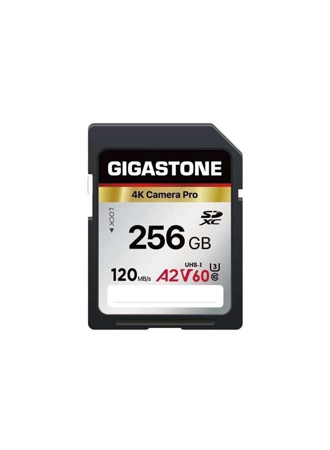Gigastone 256GB SD Card, 4K Camera Pro, A2 V60 SDXC Memory Card High Speed 4K Ultra HD UHD Video Compatible with Canon Nikon Sony Pentax Kodak Olympus Panasonic Digital Camera, with 1 Mini case  - Image 1