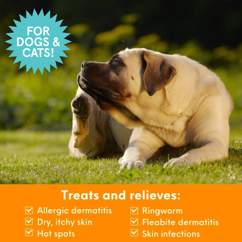 Nootie Medicated Pet Shampoo, Chlorhexidine Dog Shampoo for Itch Relief, Sold in Over 5,000 Vet Clinics & Pet Stores Worldwide- 8oz - Image 2