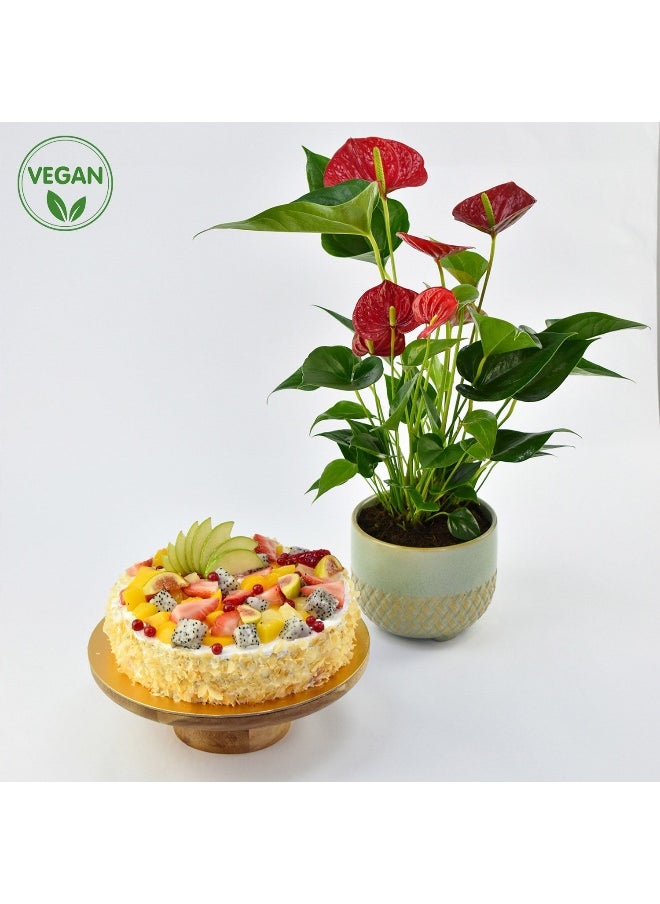Ferns N Petals - Vegan Fruit Cake And Plant - Image 1