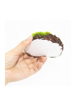Captaintech Moss Rocks Decorative, 12 Pcs Large Size Moss Balls Faux Green Moss Stones False Moss Decor for Garden DIY Floral Arrangements Plant Poted Decoration, Terrarium Decor  - Image 2