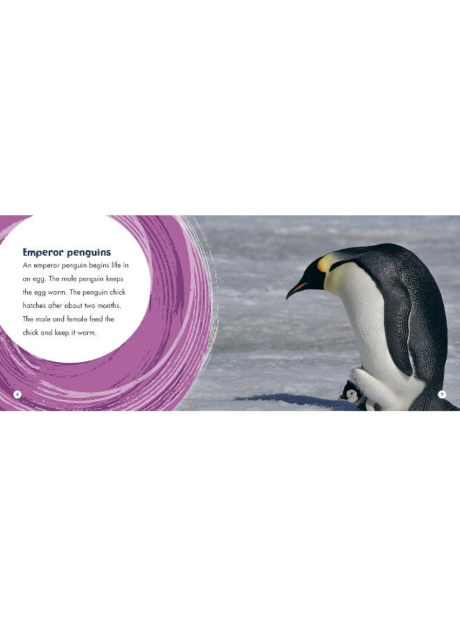 Life Cycles - Image 4