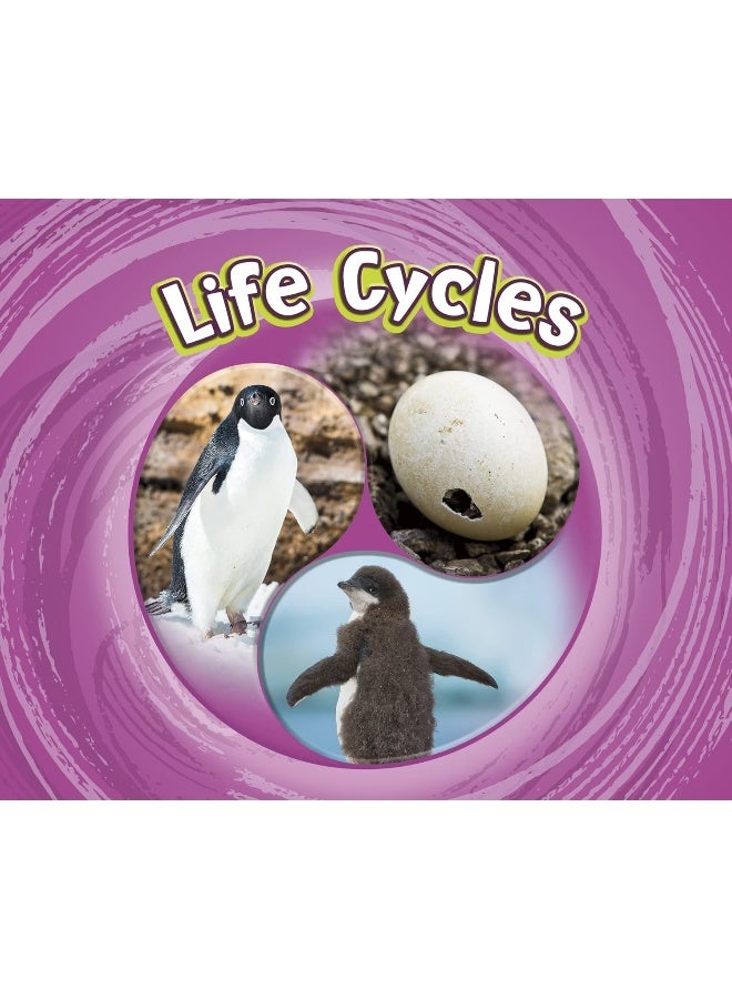 Life Cycles - Image 1