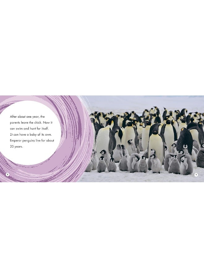 Life Cycles - Image 5