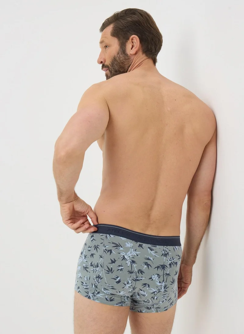 Matalan 5 Pack Blue Palm Leaf Hipsters