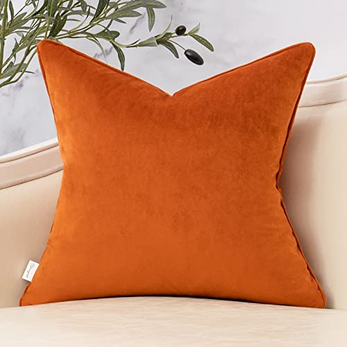 Yangest Burnt Orange Twigs Throw Pillow Cover Branches Velvet Cushion Case Neutral Pillowcase for Sofa Couch Bedroom Living Room Home Decor,20x20 Inch - Image 2