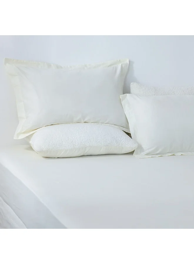 DANUBE HOME Bliss 2 - Pieces Cotton Pillow Case Set - White - 50x75 cm | 100% Cotton - 144 Thread Count Decorative Throw Pillowcase Set For Couch Sofas