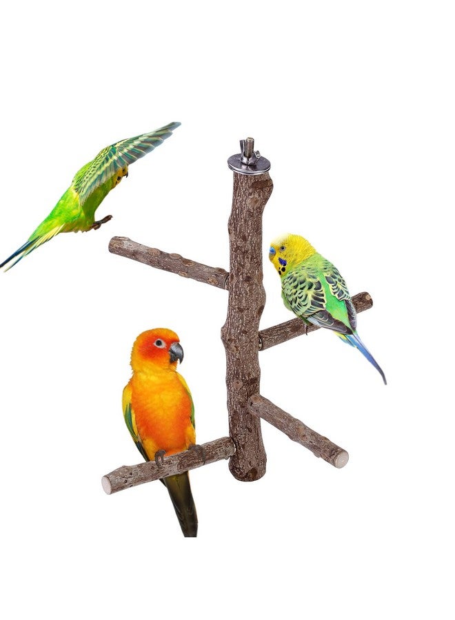 Mogoko Natural Wood Bird Perch Stand, Hanging Multi Branch Perch for Parrots, Parakeets Cockatiels, Conures, Macaws, Love Birds, Finches - Image 1