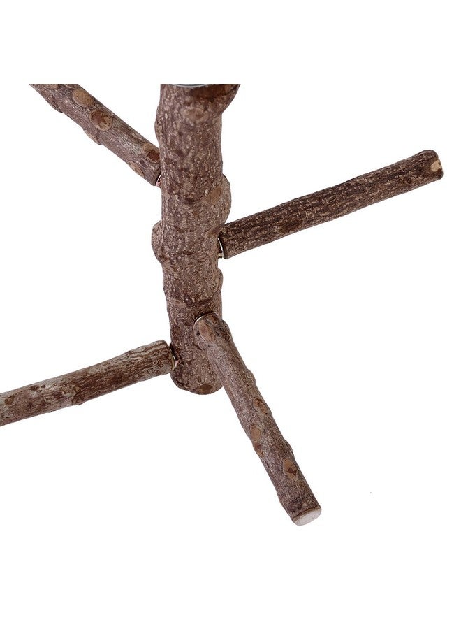 Mogoko Natural Wood Bird Perch Stand, Hanging Multi Branch Perch for Parrots, Parakeets Cockatiels, Conures, Macaws, Love Birds, Finches - Image 5
