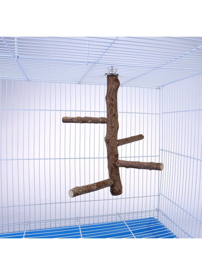 Mogoko Natural Wood Bird Perch Stand, Hanging Multi Branch Perch for Parrots, Parakeets Cockatiels, Conures, Macaws, Love Birds, Finches - Image 3