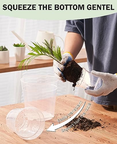 homenote Clear Nursery Pots for Plant,3/4/5 Inch Plant Pot for Planting Plastic Seedling with Drainage Holes Seed Starter Flower High Transparency 20 Labels Excellent Hardness(30 Pack) - Image 3