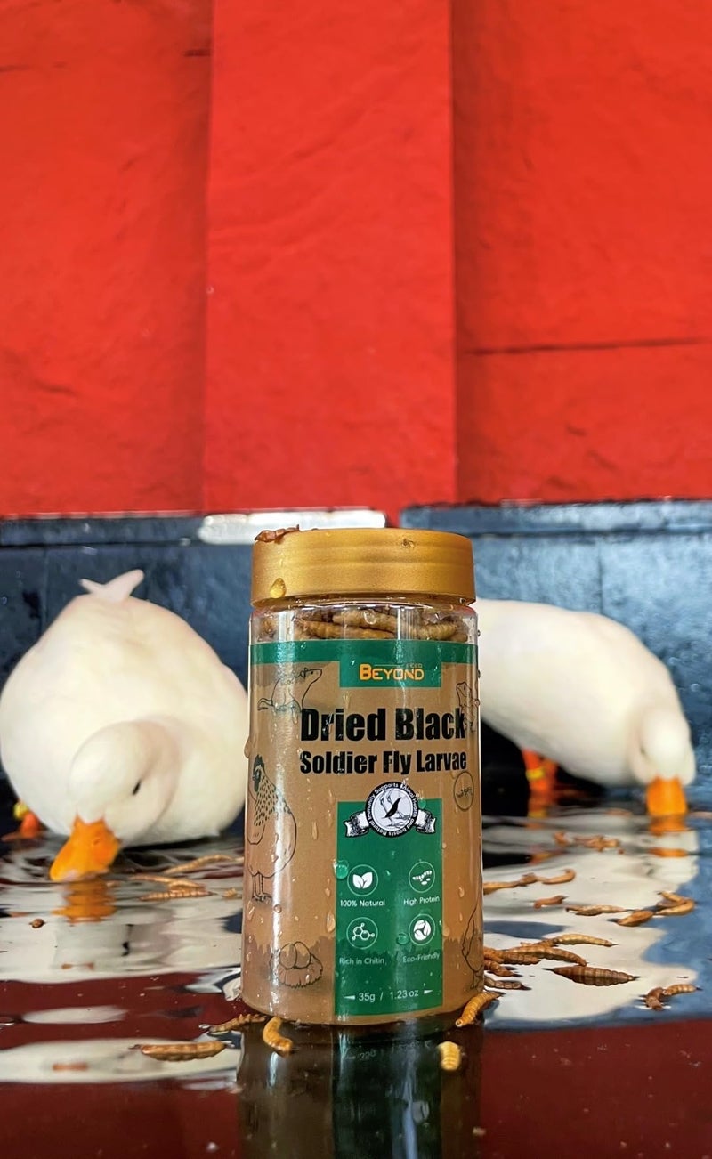 BeyondFeed™ 2.2lbs Dried Black Soldier Fly Larvae - Nutrient-Rich, Sustainable Feed for Chickens, Ducks, Birds, Reptiles, Fish, Hamster, Turtles and More (2.2lbs/1kg Package) - Image 5