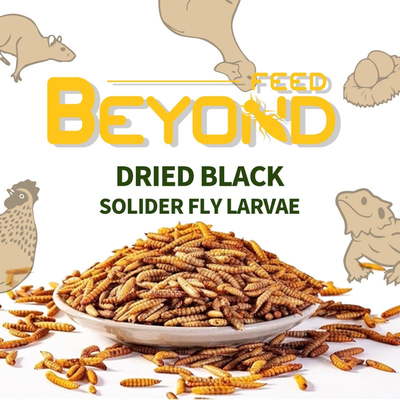 BeyondFeed™ 2.2lbs Dried Black Soldier Fly Larvae - Nutrient-Rich, Sustainable Feed for Chickens, Ducks, Birds, Reptiles, Fish, Hamster, Turtles and More (2.2lbs/1kg Package) - Image 3
