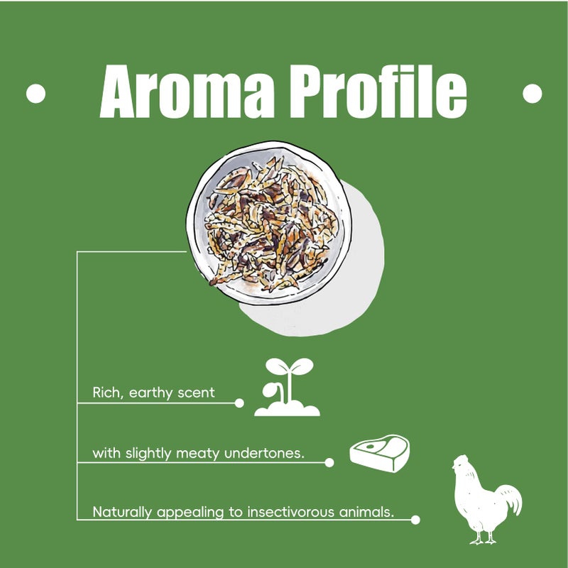 BeyondFeed™ 2.2lbs Dried Black Soldier Fly Larvae - Nutrient-Rich, Sustainable Feed for Chickens, Ducks, Birds, Reptiles, Fish, Hamster, Turtles and More (2.2lbs/1kg Package) - Image 4