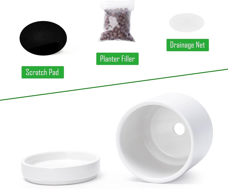 D'vine Dev Set of 2 Plants Pots, 3.5 Inch Ceramic Planter Pot for Plants with Drainage Hole and Saucer, White, 94-V-A-1 - Image 4