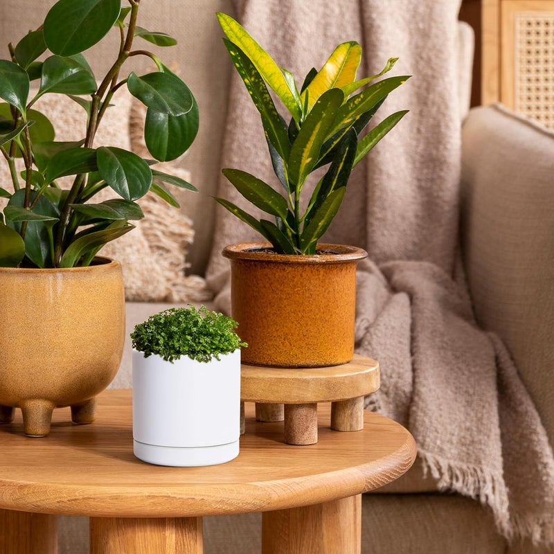 D'vine Dev Set of 2 Plants Pots, 3.5 Inch Ceramic Planter Pot for Plants with Drainage Hole and Saucer, White, 94-V-A-1 - Image 3