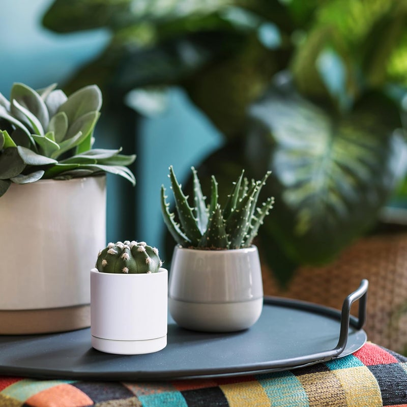 D'vine Dev Set of 2 Plants Pots, 3.5 Inch Ceramic Planter Pot for Plants with Drainage Hole and Saucer, White, 94-V-A-1 - Image 5