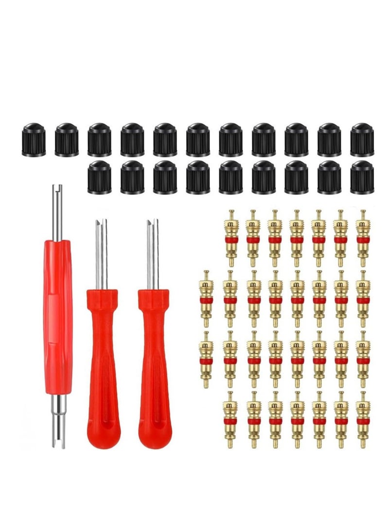 ECVV Tire Valve Core Remover Tools with 40 Pcs Schrader Valve Cores, 20Pcs O-ring Seal Valve Stem Caps, 3 Pieces Dual Single Head Tire Valve Core Remover Installer Repair Tools - Image 1