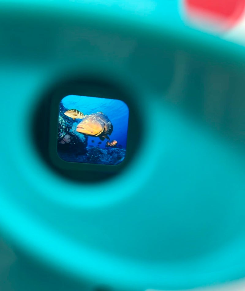 WARM FUZZY Toys 3D Viewfinder (Sea Life) - Viewfinder for Kids & Adults, Classic Toys, Slide Viewer, 3D Reel Viewer, Retro, Vintage Toys with 3 Reels - Contains 21 High Definition 3D Images - Image 4