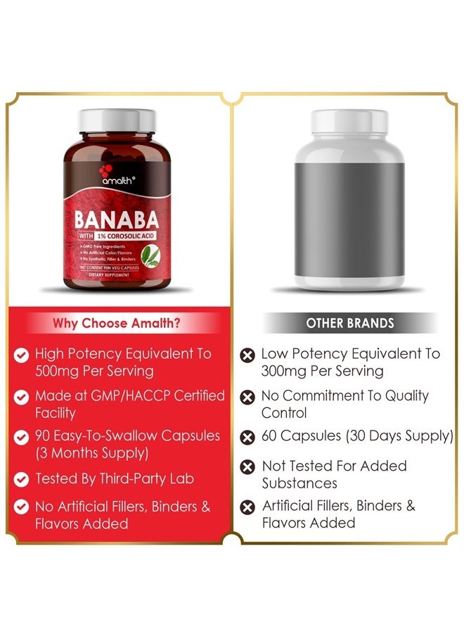 AMALTH - Banaba Leaf Extract 1% Corosolic Acid 500 mg |90 Veg Capsules|Supports Glucose Metabolism Levels| Vegan|Non GMO - Image 1