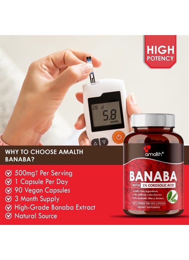 AMALTH - Banaba Leaf Extract 1% Corosolic Acid 500 mg |90 Veg Capsules|Supports Glucose Metabolism Levels| Vegan|Non GMO - Image 1