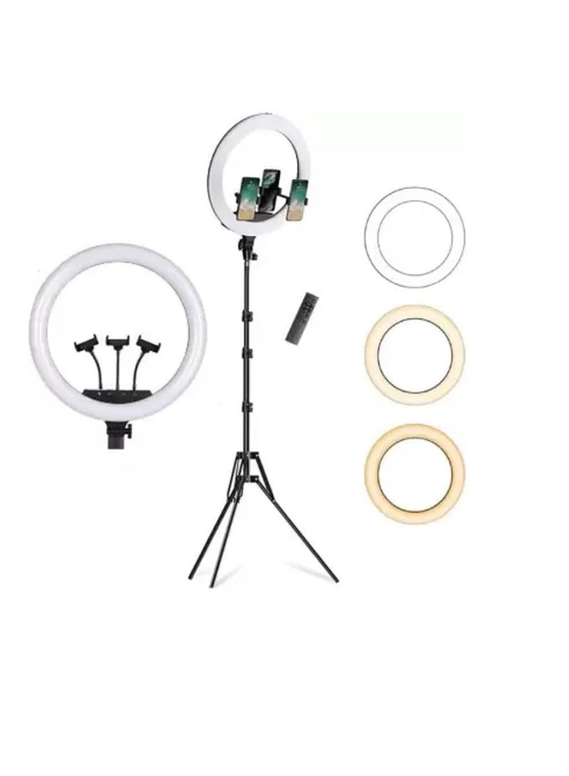 LED Ring Light with 3 Color Modes, Dimmable for Photography, YouTube, Video Clips, and Live Streaming (Includes 3 Stands + Remote Control, 35.5 cm + Stand) - Image 1