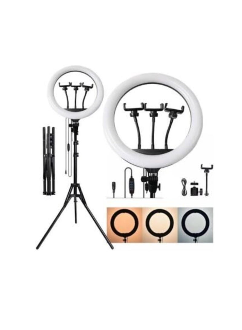 LED Ring Light with 3 Color Modes, Dimmable for Photography, YouTube, Video Clips, and Live Streaming (Includes 3 Stands + Remote Control, 35.5 cm + Stand) - Image 2