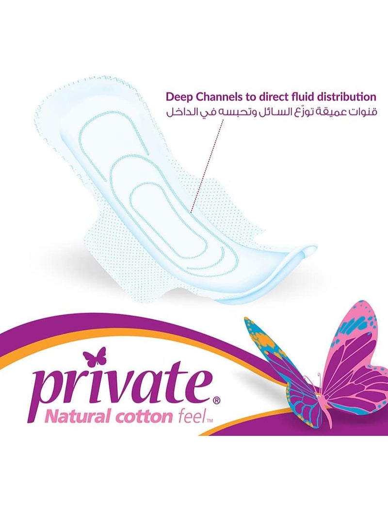 Private 30 Pcs Normal with Wings Feminine Pads - Image 4