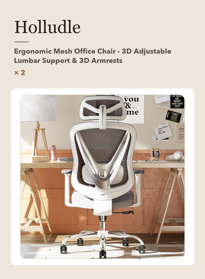 HOLLUDLE 2 Pcs Holludle Office Chair Pack - 2 x Ergonomic Mesh Office Chair - Image 2