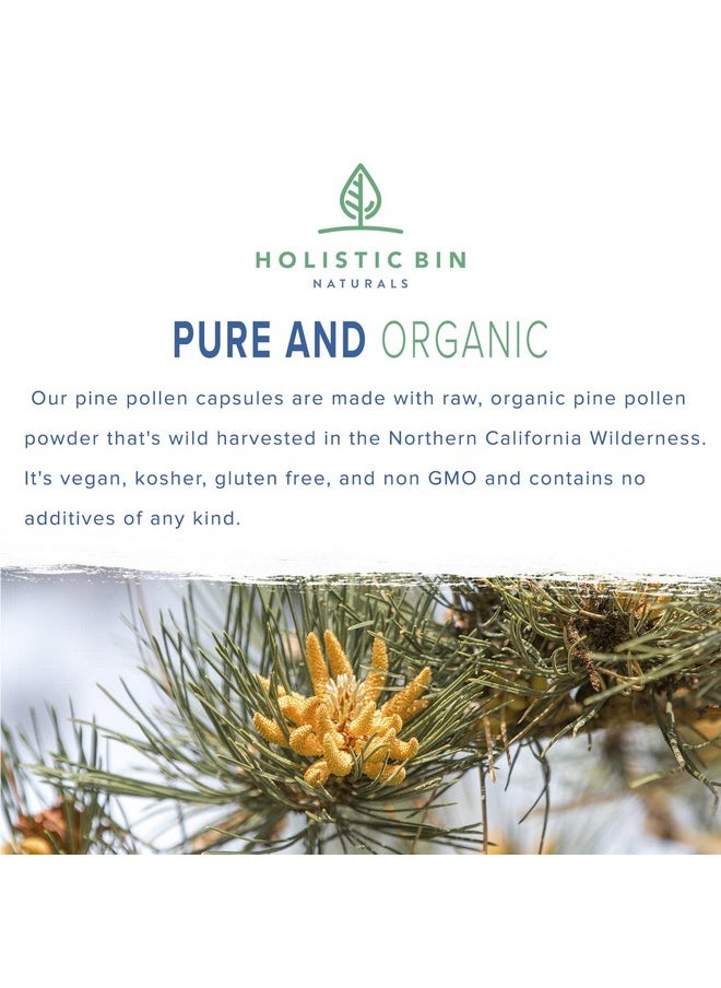 Holistic Bin - Pine Pollen Capsules 500Mg Made W/ 100% Pure Pharmaceutical Grade Wild Harvested California Pine Pollen Powder ; Organic Non Gmo No Fillers ; 30 Day Supply (40 Capsules) - Image 1