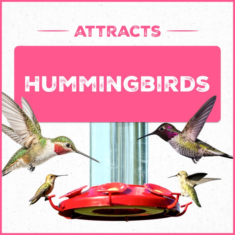 Pennington 100543828 ElectroNectar Hummingbird Food Ready to Use, Clear - Image 4