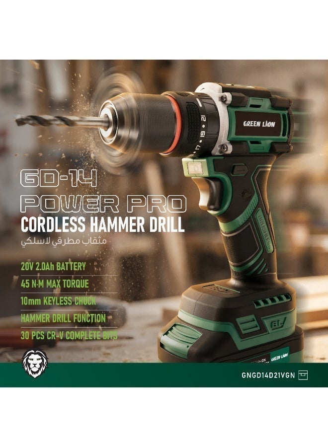 GREEN LION Cordless Hammer Drill with 30-Piece Bit Set, 20V Battery, 2-Speed Control, 45 N.M Max Torque, Keyless Chuck, LED Work Light for Fitness | Travel | Office - Image 2