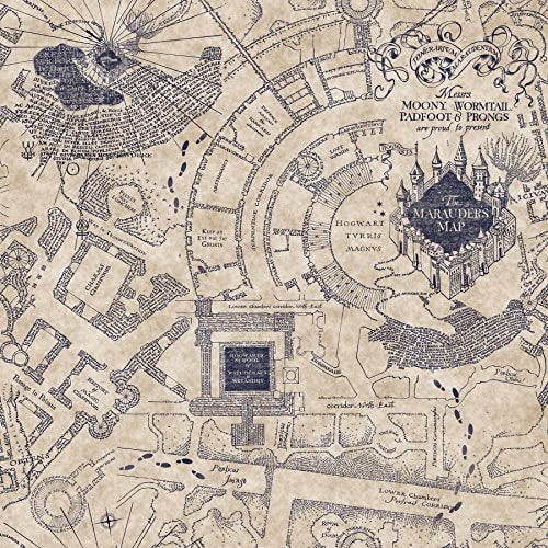 RoomMates RMK12436RL Blue Harry Potter Marauders Map Peel and Stick Wallpaper - Image 1