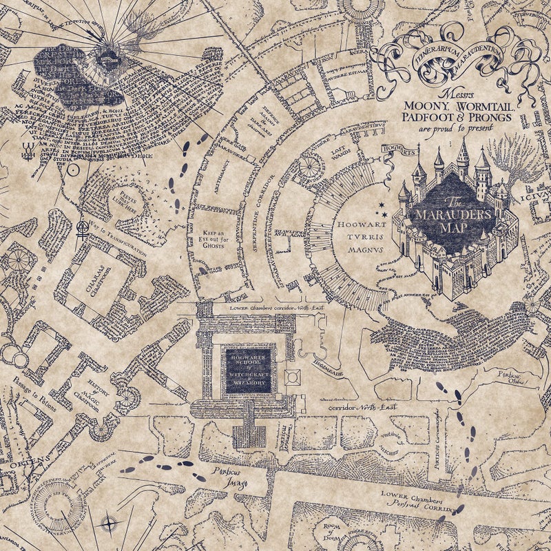 RoomMates RMK12436RL Blue Harry Potter Marauders Map Peel and Stick Wallpaper - Image 2