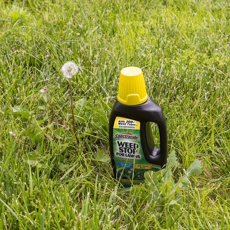 Spectracide Weed Stop For Lawns Concentrate 32 fl oz - Image 5