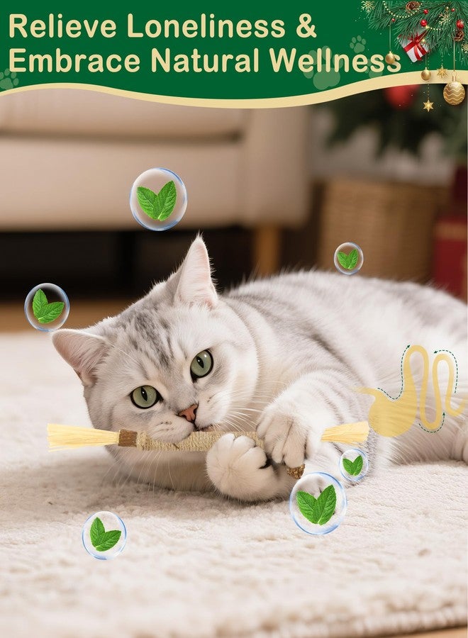 Beanewone Catnip Toys with Crinkle Sound 7 Pack, Cat Toys with Silvervine Sticks for Christmas and Birthday, Interactive Cat Chew Toy for Indoor Cats Kitten Kitty - Image 4