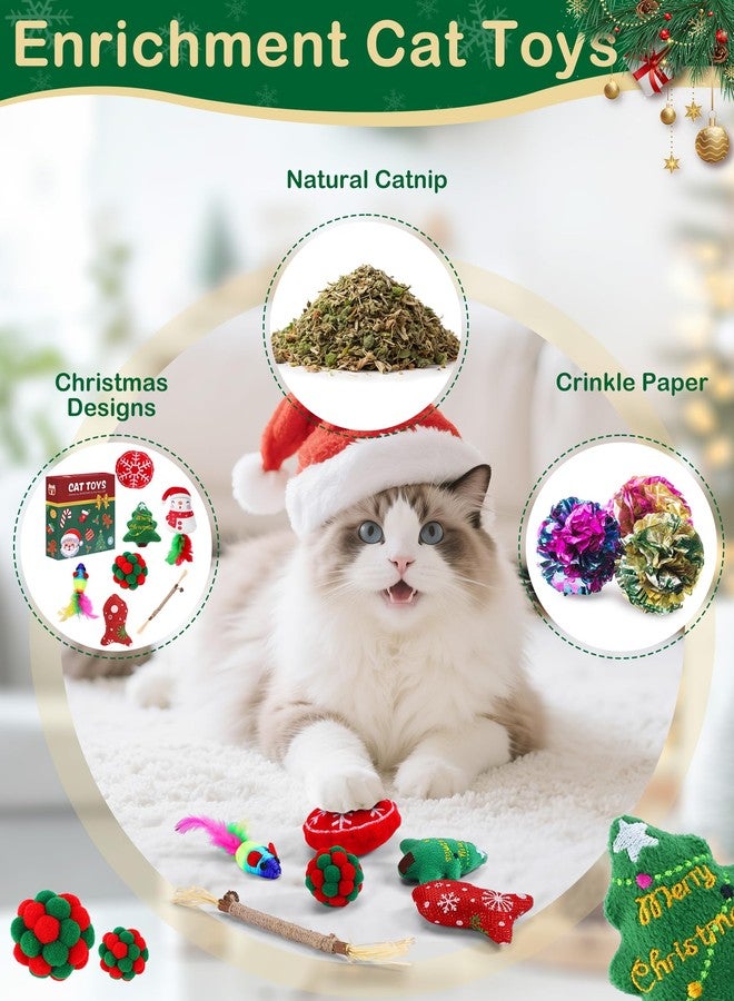 Beanewone Catnip Toys with Crinkle Sound 7 Pack, Cat Toys with Silvervine Sticks for Christmas and Birthday, Interactive Cat Chew Toy for Indoor Cats Kitten Kitty - Image 2