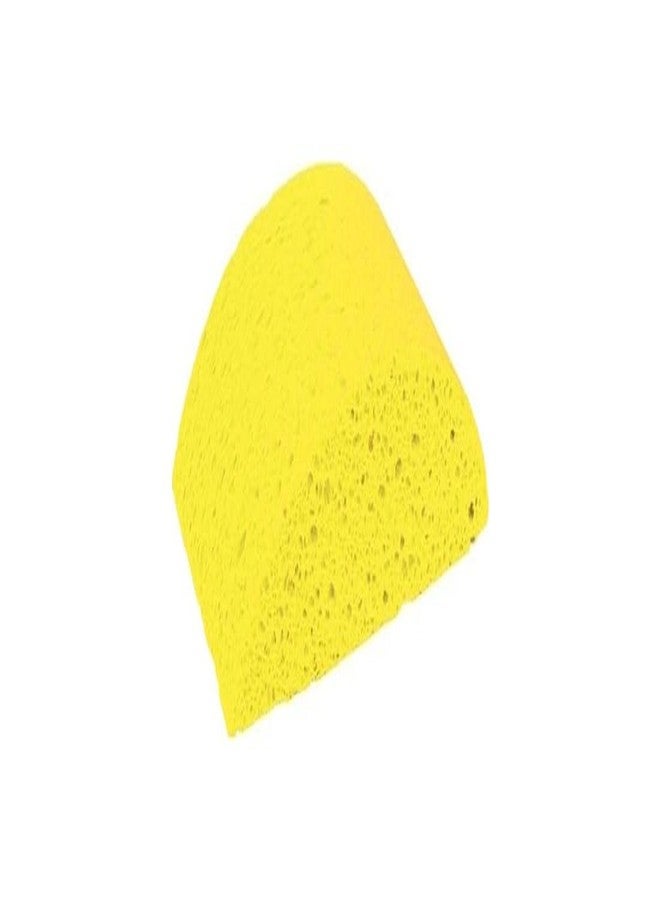MARSHALLTOWN Masonry Sponge Turtleback - Image 1